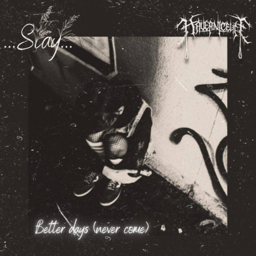 Have A Nice Life... : Better Days (Never Come)